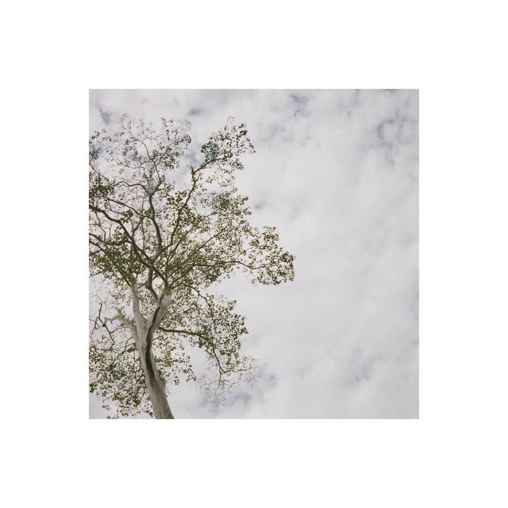 descer o sol e dar raiz às nuvens