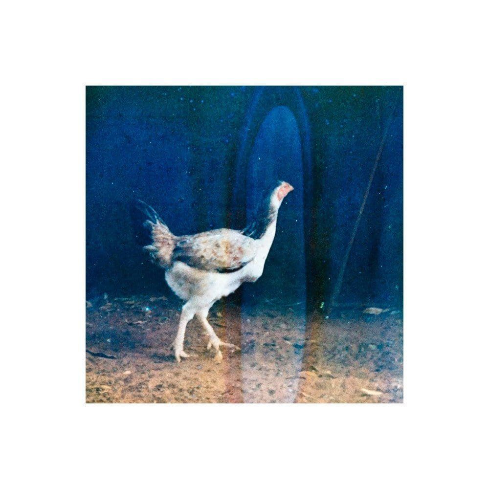 chamada aberta: textos de crítica cinematográfica