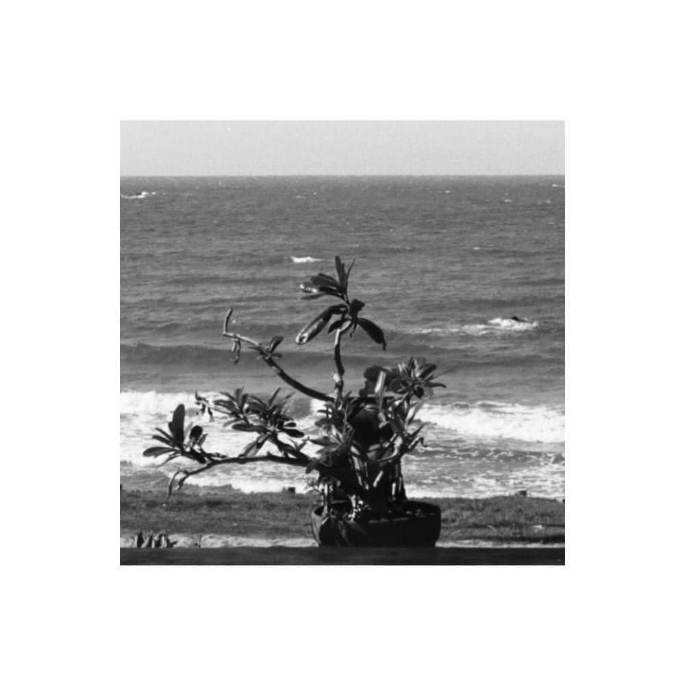 “Deste lado, a outra margem do infinito / onde o crepúsculo saúda o regresso”: tempo e memória na poesia de Conceição Lima