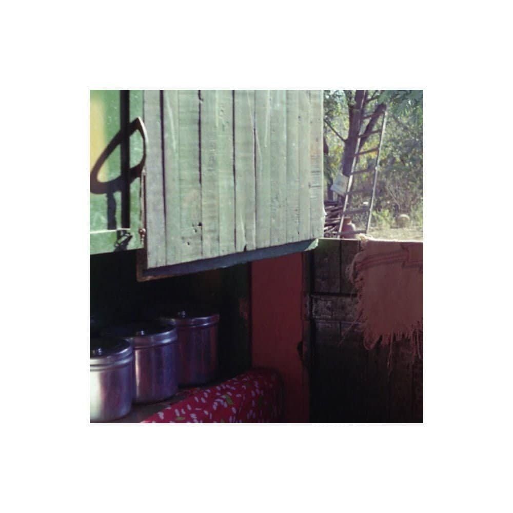 a esperança dos insetos