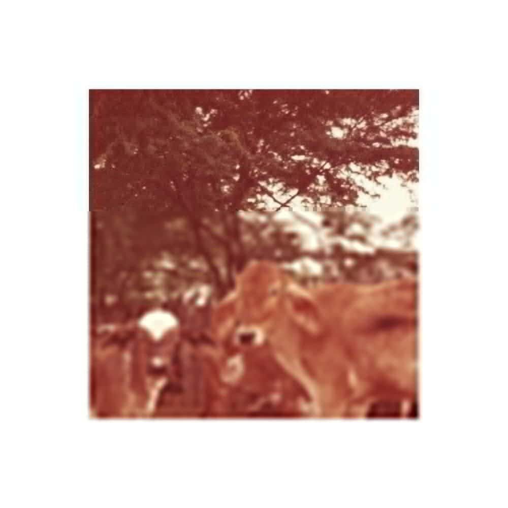 Tônico para o fim do mundo: Octavia E. Butler e A Parábola do Semeador