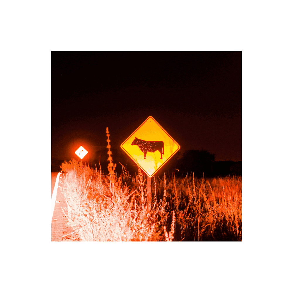 9 reflexões sobre destruição e cinema