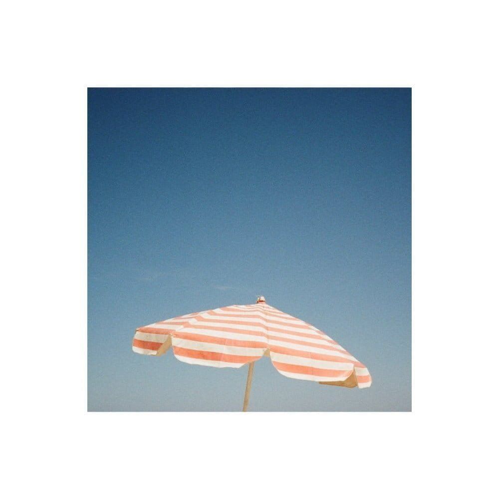 Fido Dido me deu uma voadora