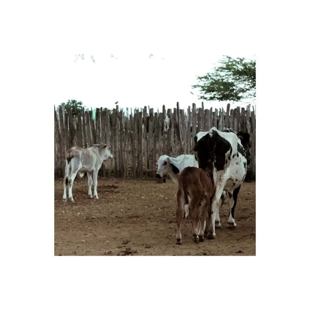 Carta à filha que talvez não venha