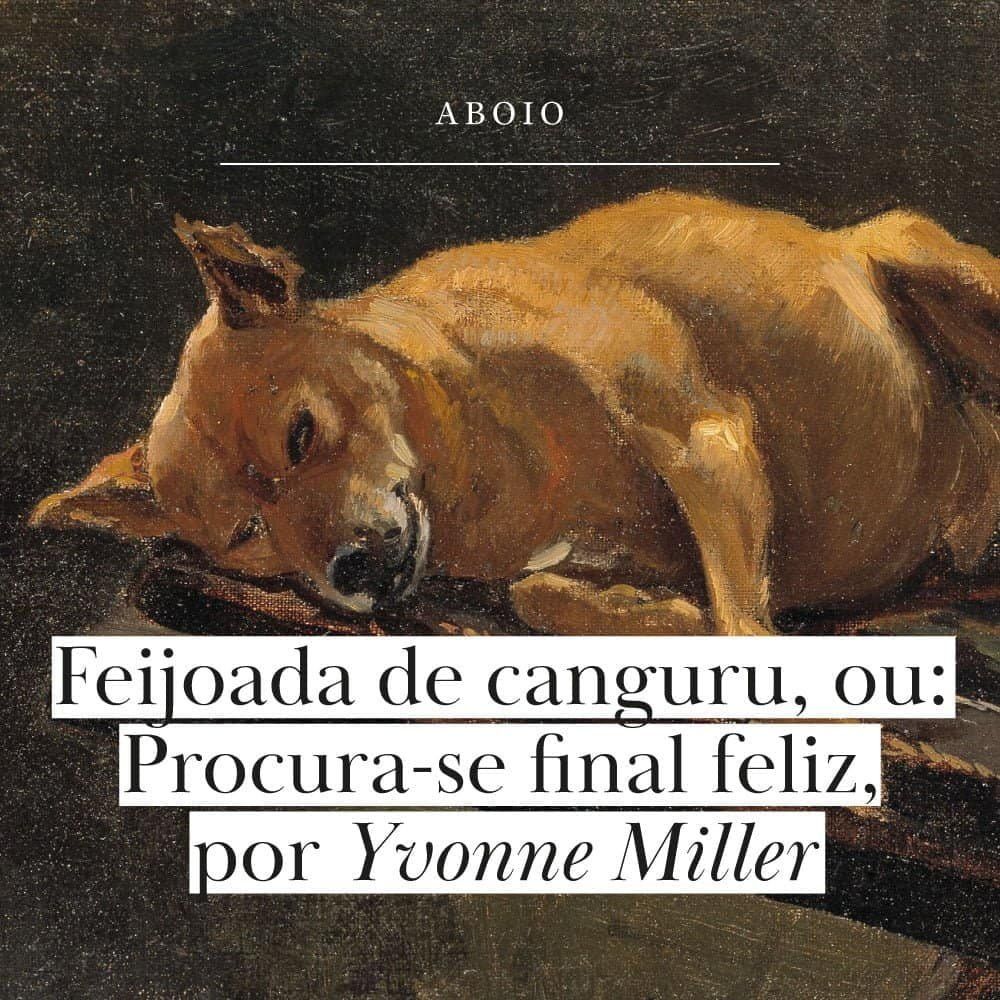 Feijoada de canguru – ou: Procura-se final feliz