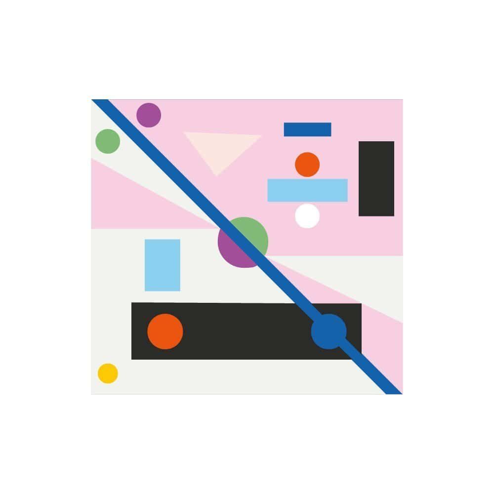 pholcus phalangioides