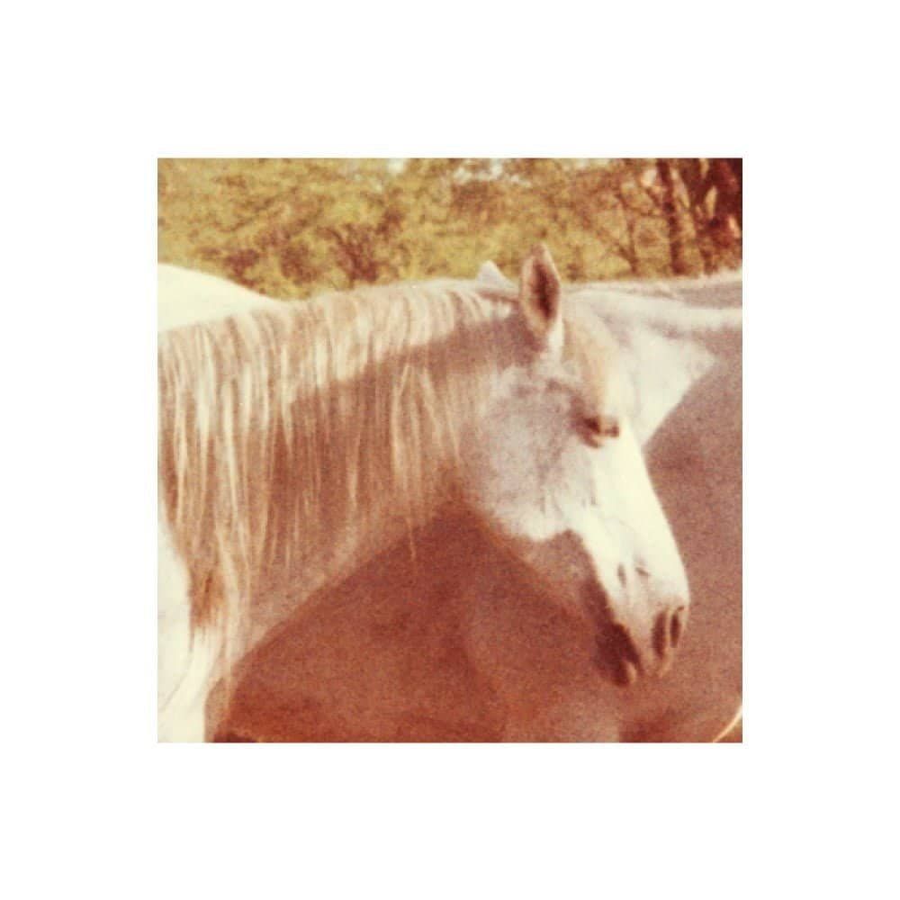 Cavalo branco