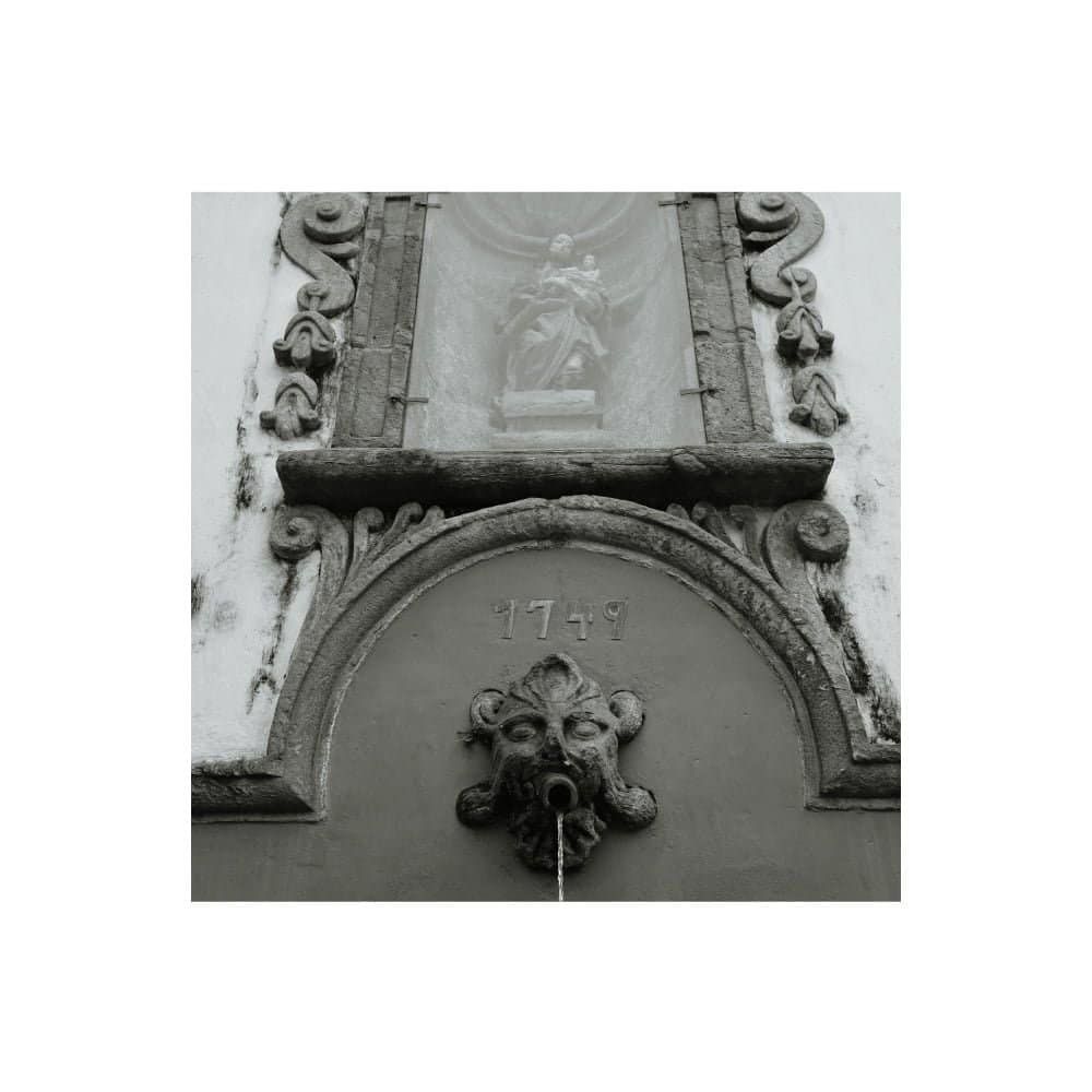 Carnívora, conto de Alice Priestly