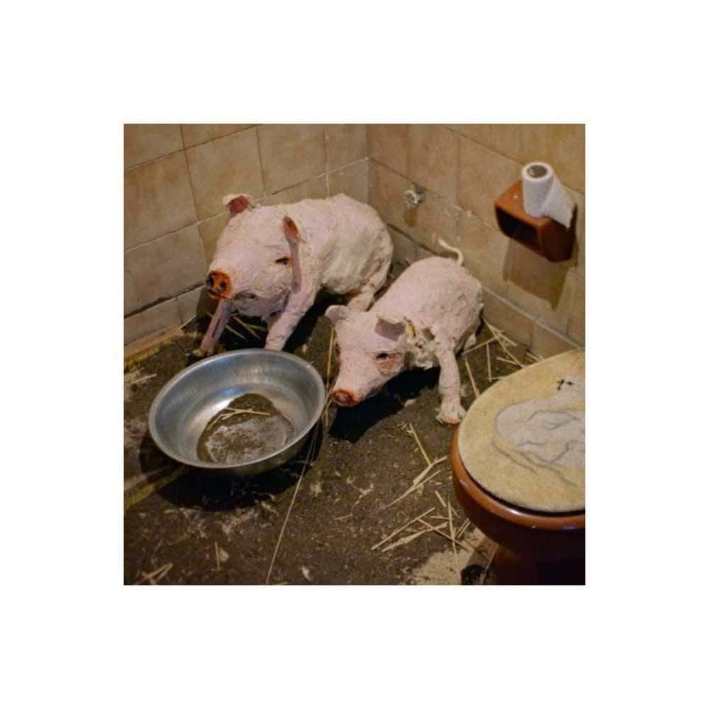 Repressão e liberdade em A Casa Lobo