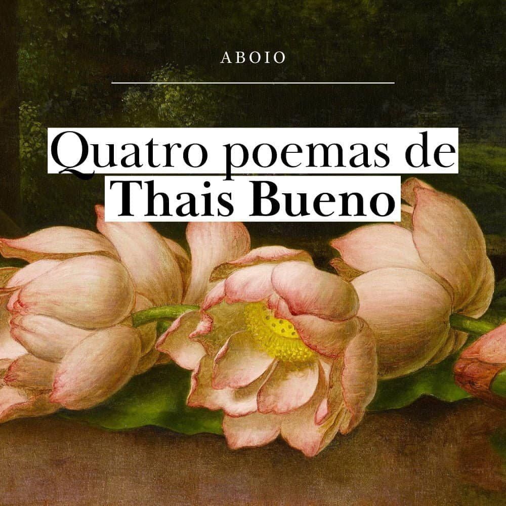 4 poemas de Thais Bueno