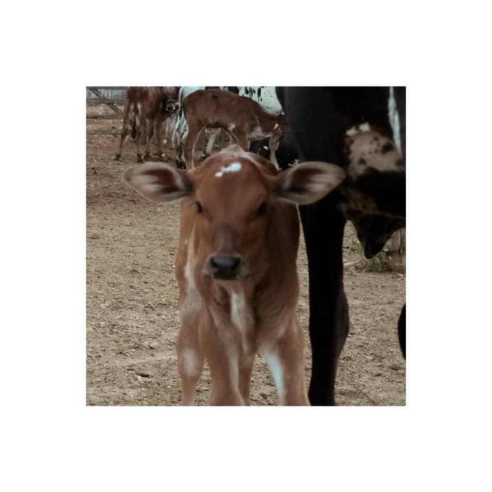 Uma casa em qualquer lugar