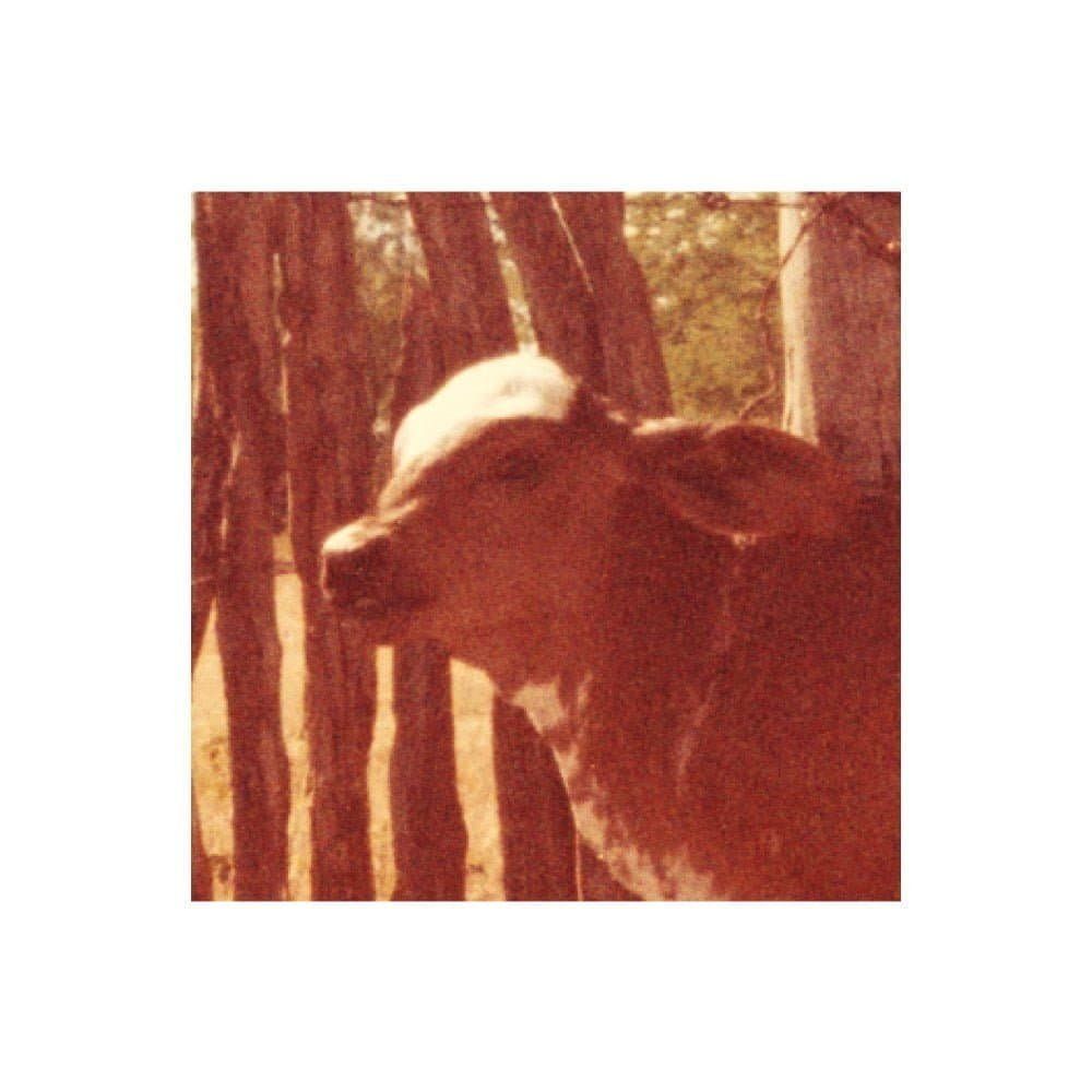 “Nossa memória está fora de nós” – O tempo palimpsesto em Annie Ernaux