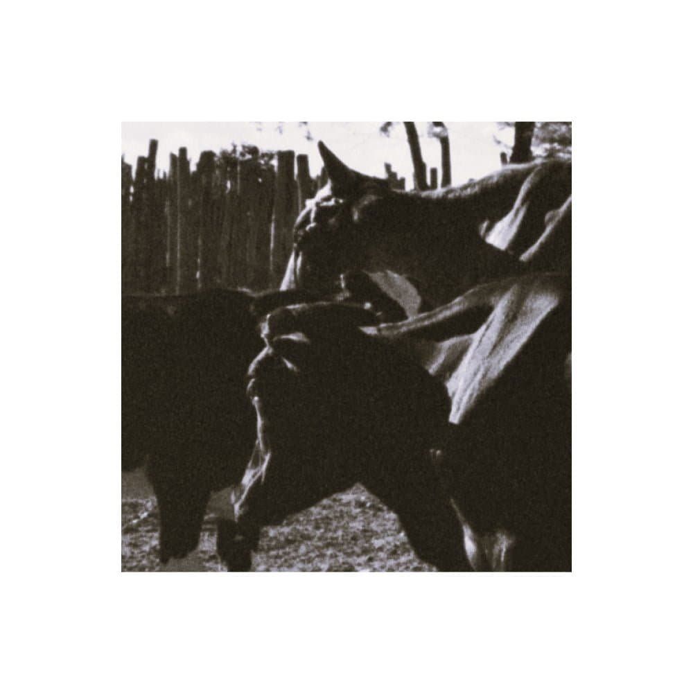 O som ensurdecedor de Memória