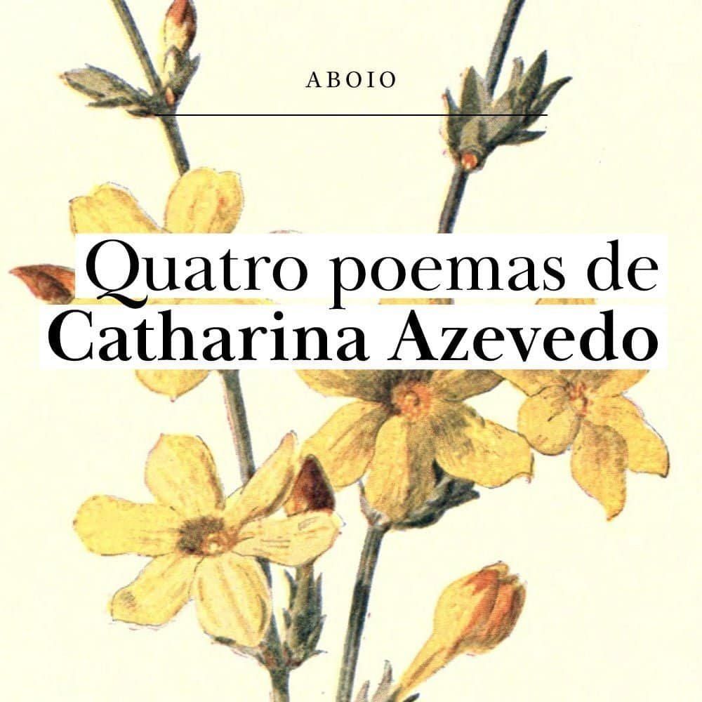 4 poemas de Catharina Azevedo