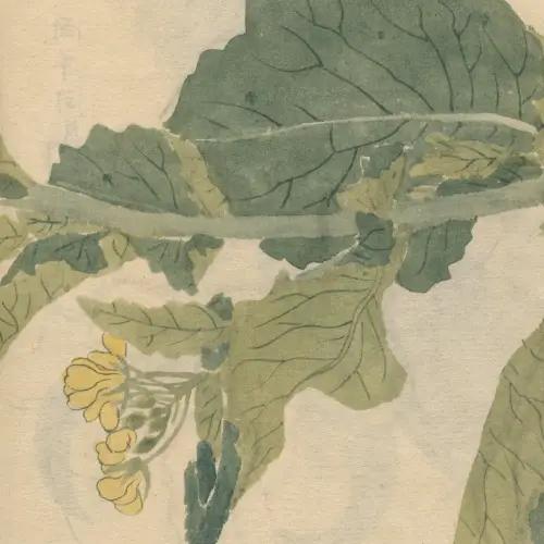 Drummond foi o maior poeta da depressão, além de tudo