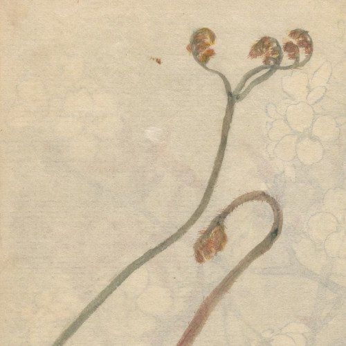 Os limites no sudeste do país