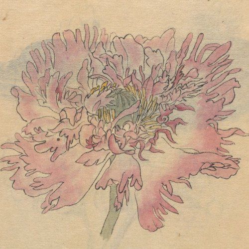 uma cintilância volátil