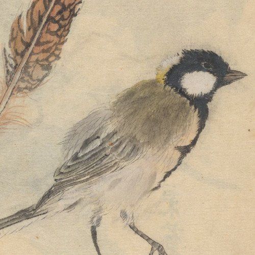 Você é amiga da Samara?