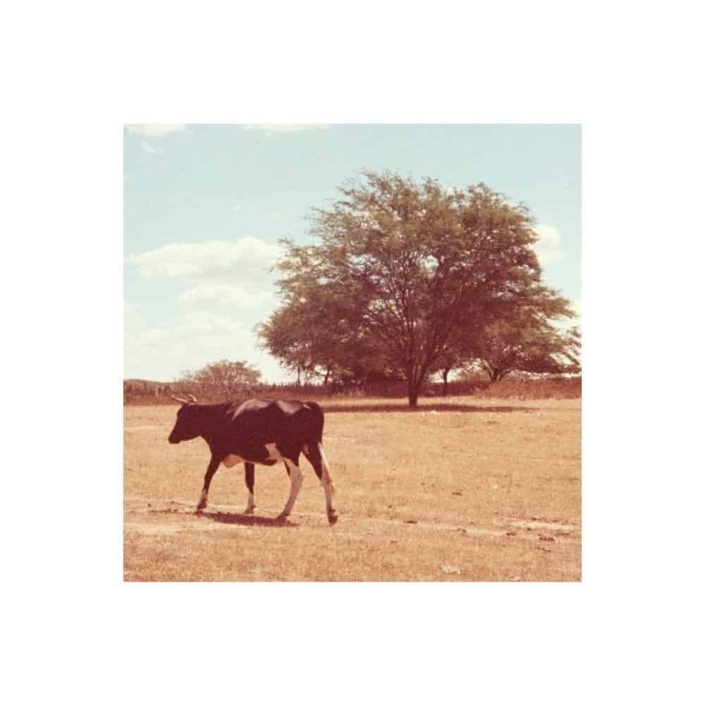 Uma aposta na ternura