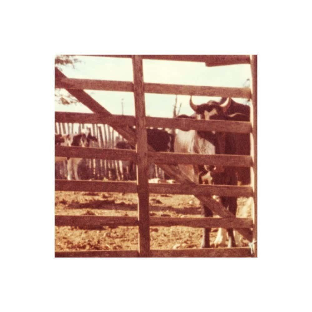 Rita Almeida Zimmermann