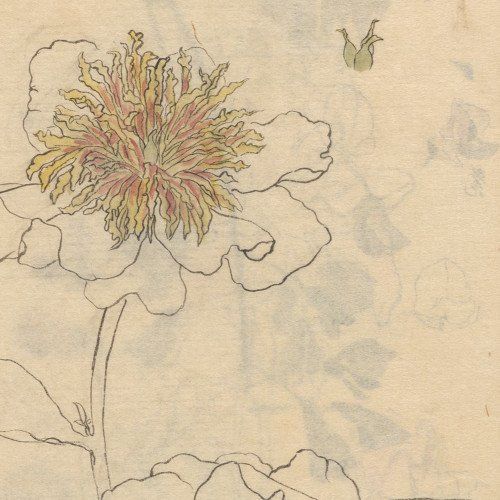 O povo do Papicu num quer papo