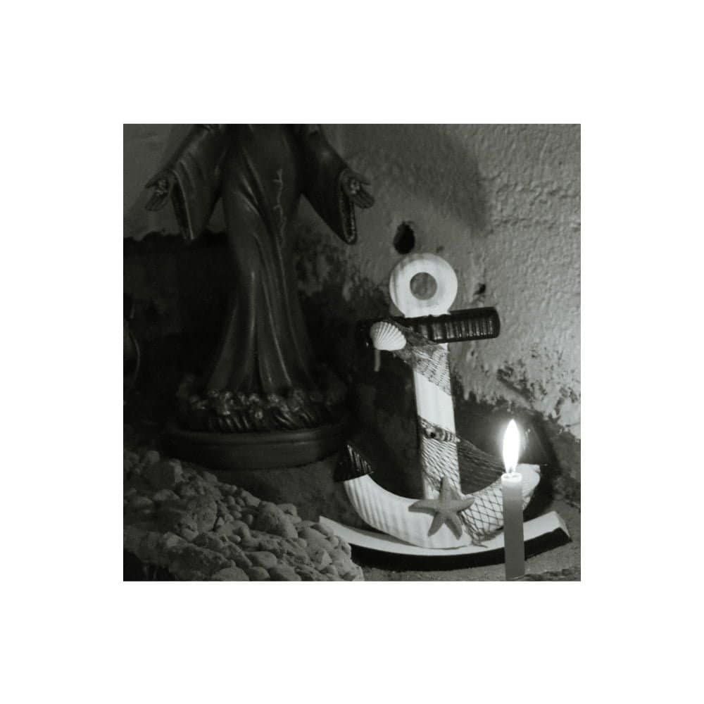 Cacos, conto de Carina Bacelar