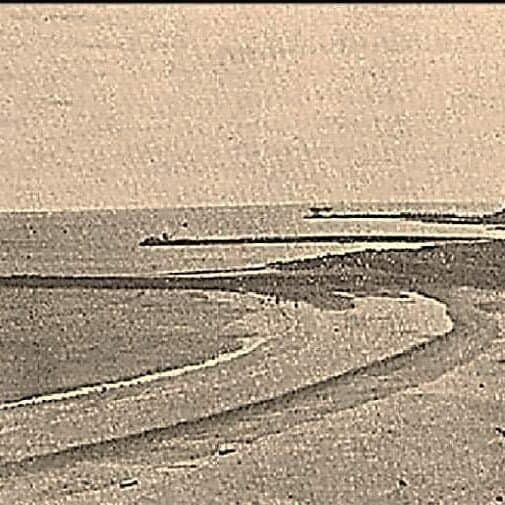 5 poemas de Leopoldo Cavalcante