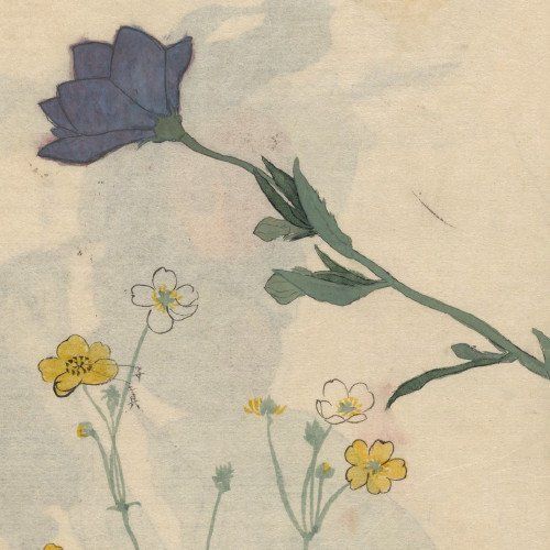 Caçando crônicas, atirando cerveja