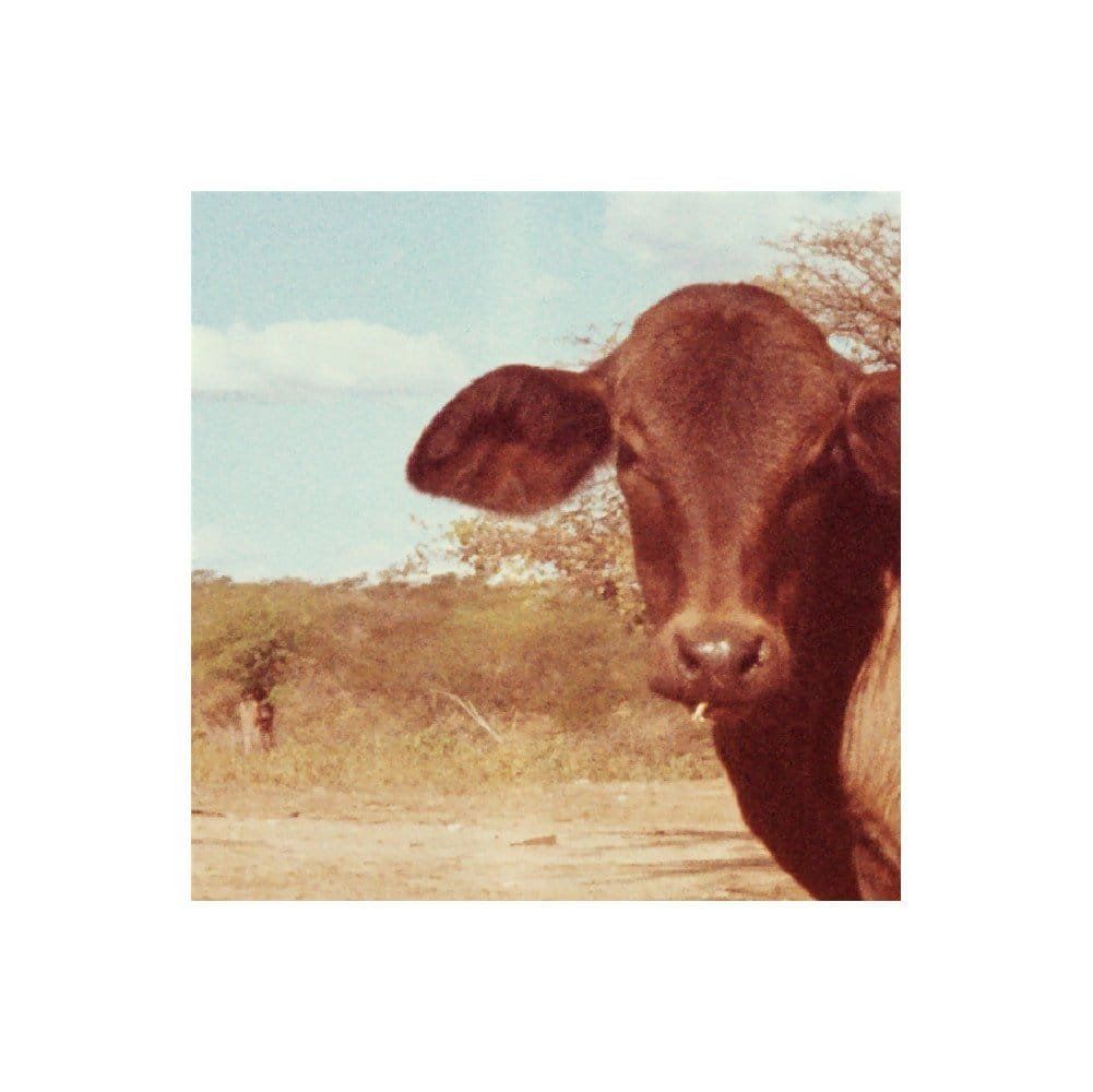 A poeticidade em potência máxima: Risque esta palavra, de Ana Martins Marques