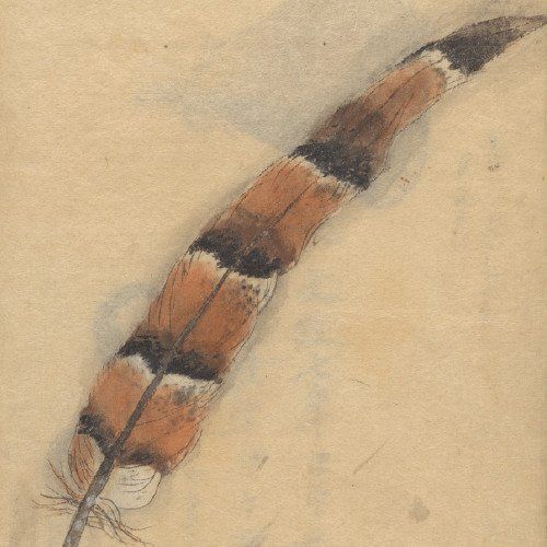 madeira, madeixa e redemoinhos