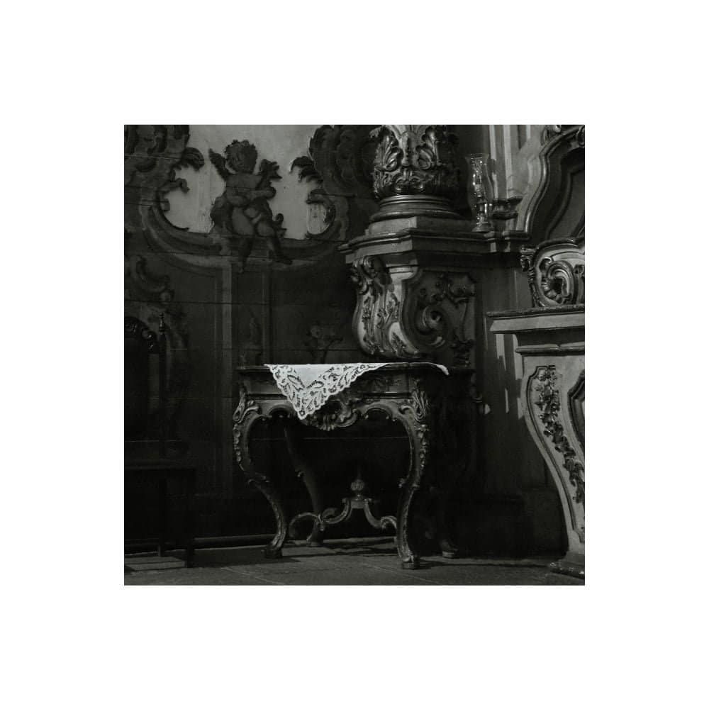 Luz de Néon, por Helena T.