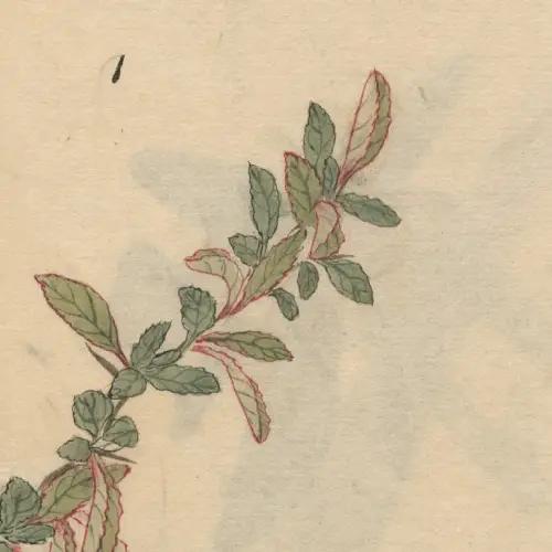 A Fresta #13 – Alexandrian em cinco duplas (PT. V)