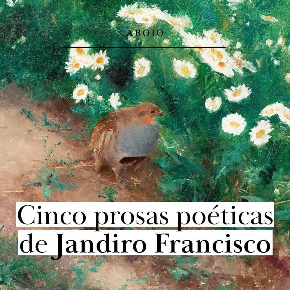 5 prosas poéticas de Jandiro Francisco