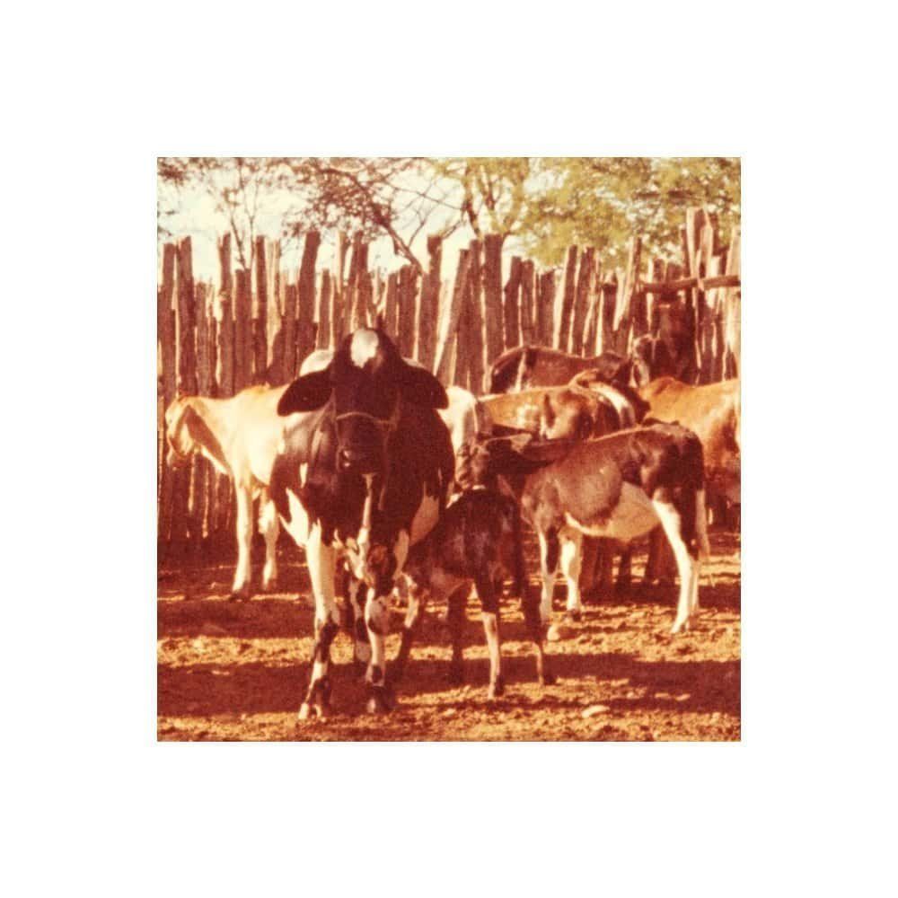 A Semana de Arte Moderna de 1922 inventou o modernismo no Brasil?