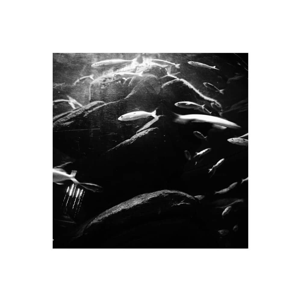 2 poemas de Janaina Sales