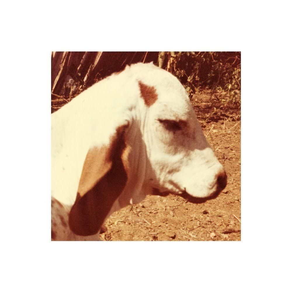 A luz do blues que reside em seus olhos