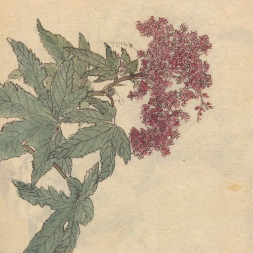 Coragem – ou: Uma montaria no quarto andar