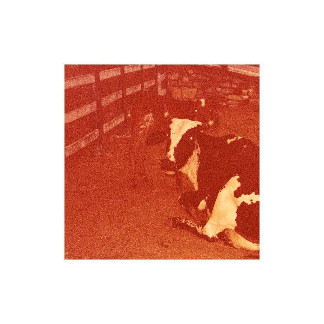 chamada aberta: resenha & crítica literária