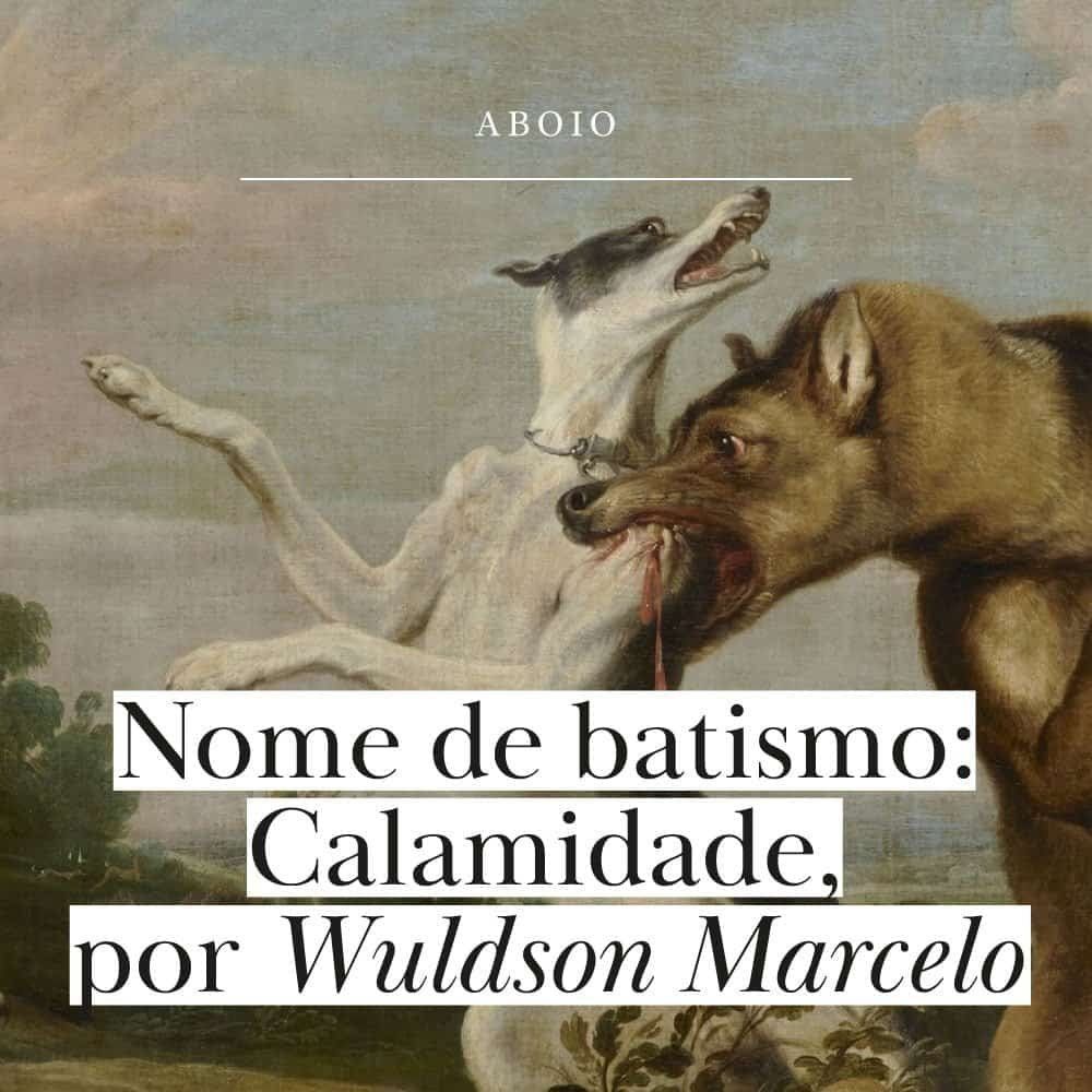 Nome de batismo: Calamidade, conto de Wuldson Marcelo