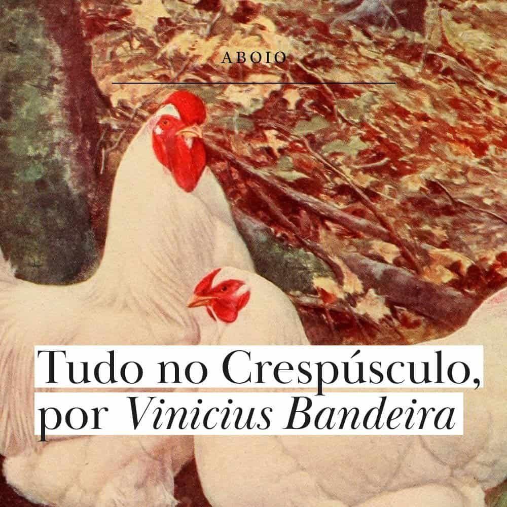 Tudo no Crepúsculo, de Vinicius Bandeira
