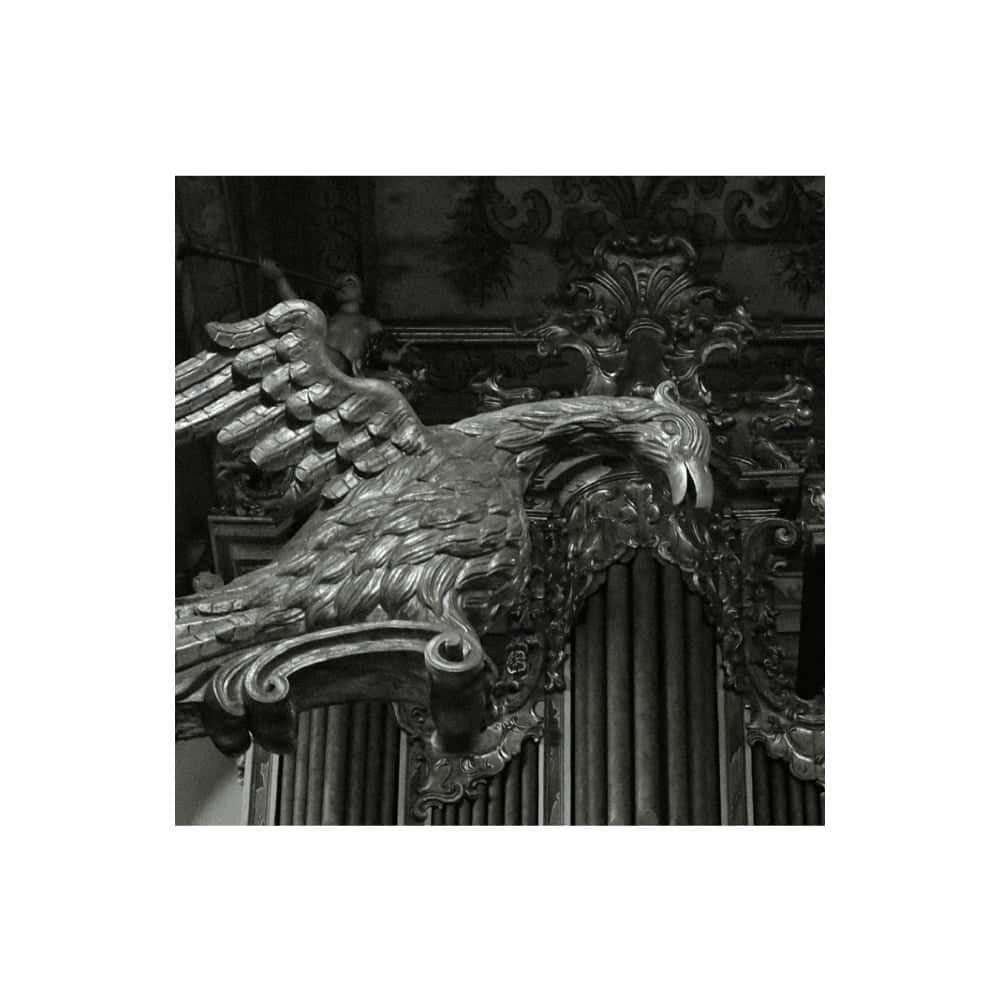 corpo cidade (olhos do verão), poemas de Gabriela Ribeiro