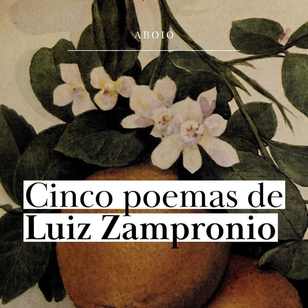 5 poemas de Luiz Zampronio