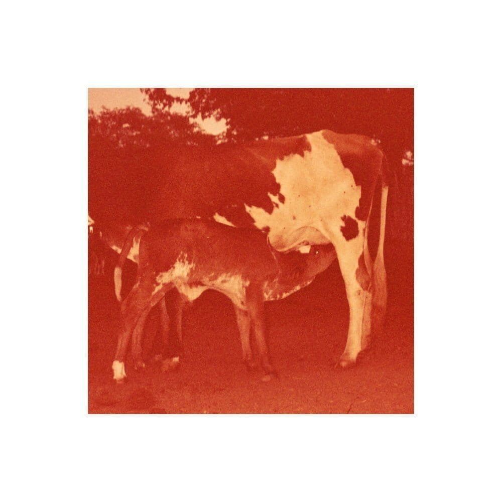 Algumas ideias sobre First Cow e Kelly Reichardt