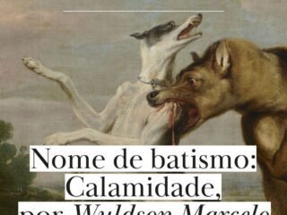 Recorte do quadro "Briga entre cães e lobos", de Frans Snyders, para ilustrar conto de Wuldson Marcelo.