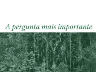 Fotografia: Floresta Virgem – Marc Ferrez (Coleção Gilberto Ferrez/Acervo Instituto Moreira Salles).