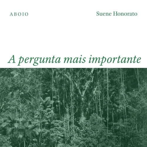 Fotografia: Floresta Virgem – Marc Ferrez (Coleção Gilberto Ferrez/Acervo Instituto Moreira Salles).