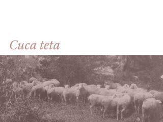 Fotografia: Rebanho de ovelhas – Vincenzo Pastore (Acervo Instituto Moreira Salles).