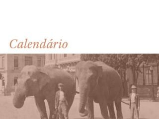 Fotografia: Dois elefantes diante do Palácio do Catete – Autoria não identificada (Acervo Instituto Moreira Salles).
