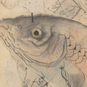 Desenho de Ariyoshi Kondo para ilustrar o conto de Fernanda Thayná. A ilustração mostra uma cabeça de peixe bem de perto, o olho amarelado se destaca do resto do desenho, em tons de cinza