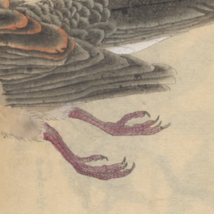 Ilustração mostra a cauda de um pássaro voando e suas patas. Desenho de Ariyoshi Kondo para ilustrar a resenha de Floriano Martins sobre o livro de Bianca Monteiro Garcia.